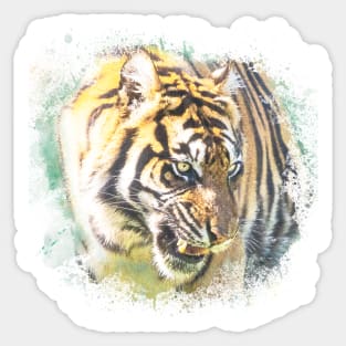 Tiger Animal Feline Wildlife Jungle Nature Adventure Watercolor Sticker